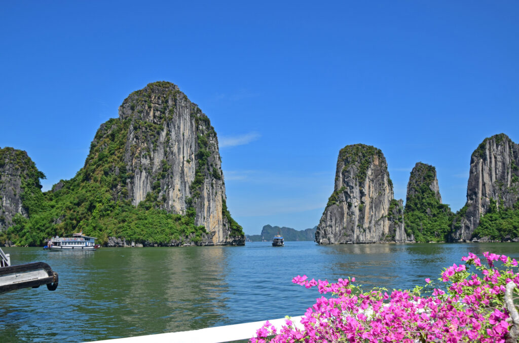 「ハロン湾のブーゲンビリア」橋本 進