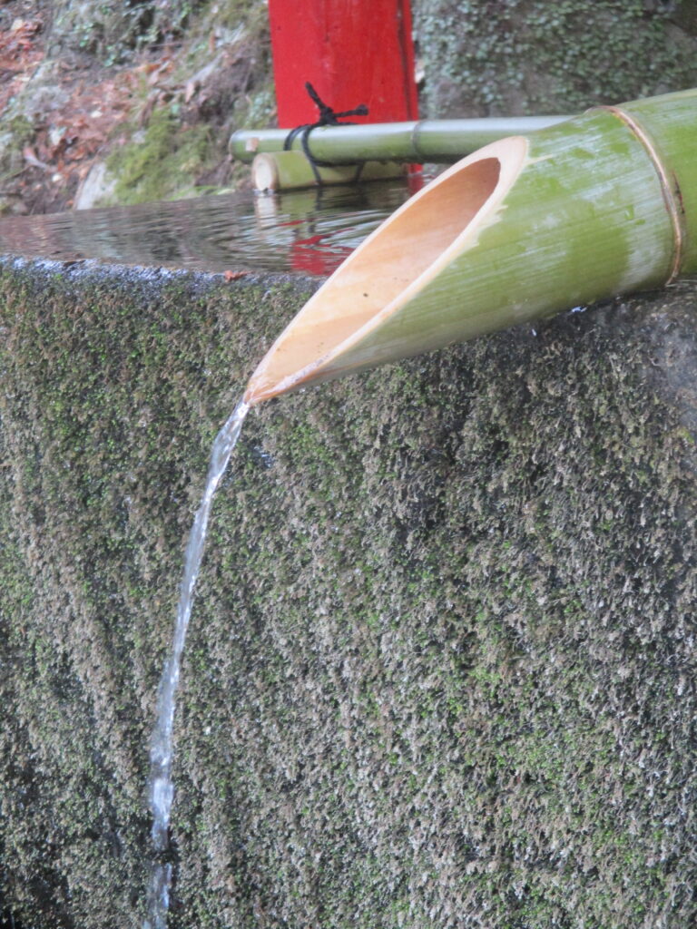 「竹の涙、静かな祈り」山本 邦秀
