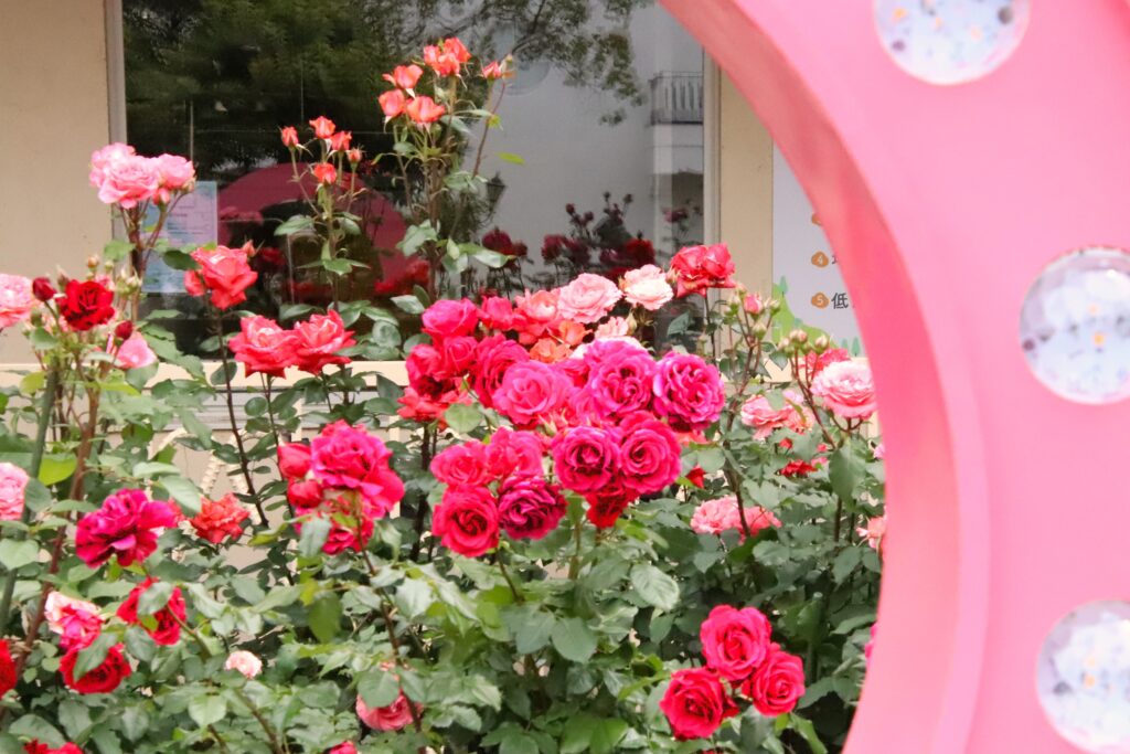 「輝くパラ園」植木 龍夫