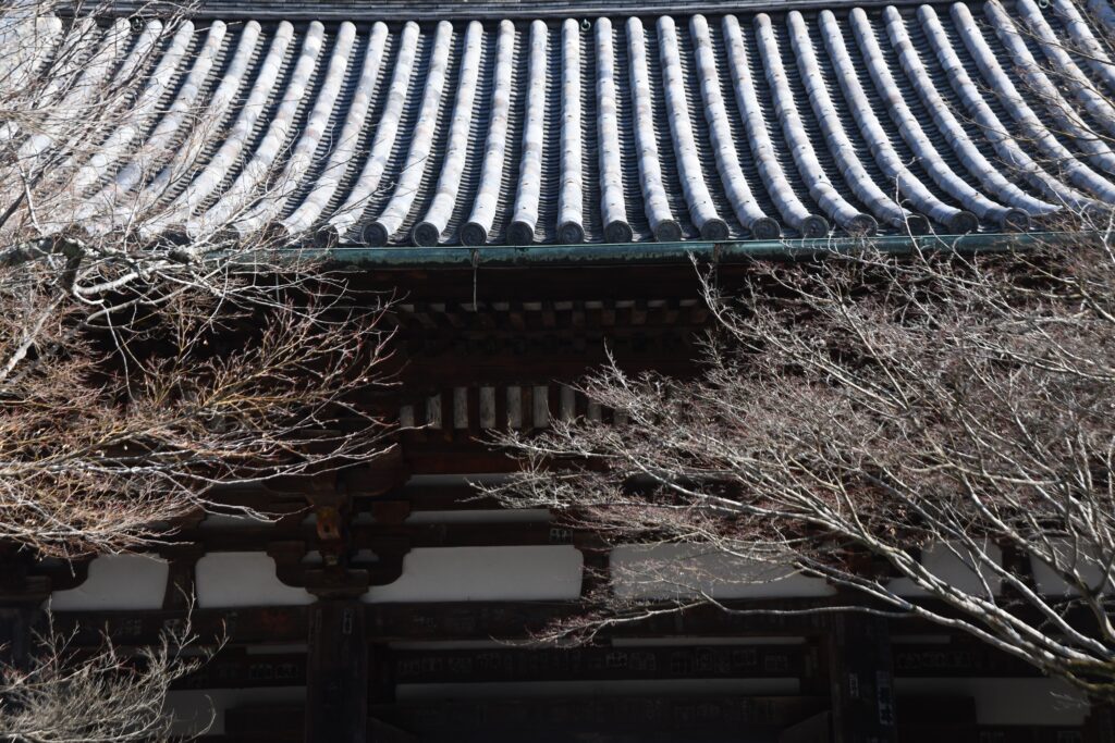 「木枯らし」林 文信