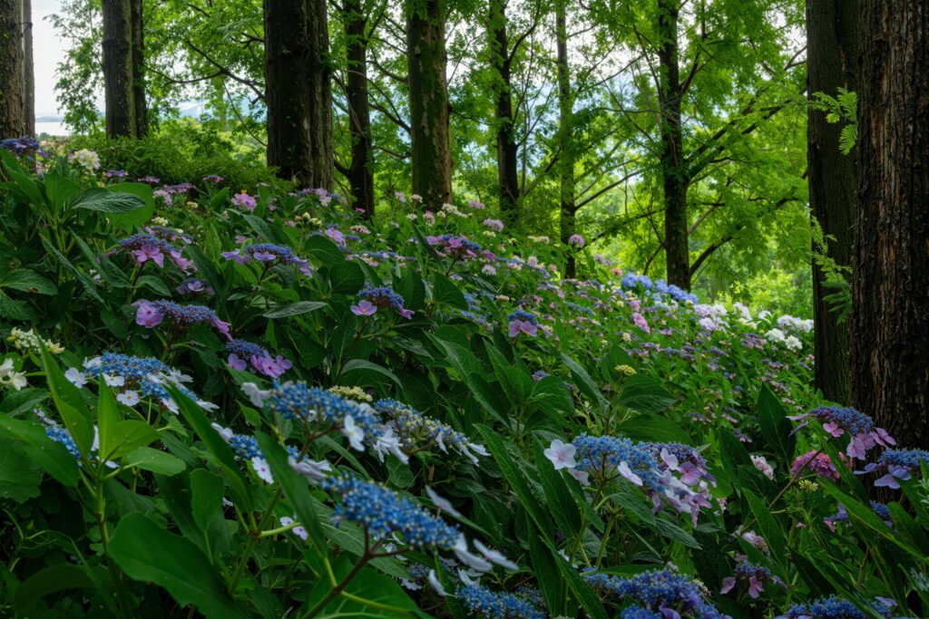 「森生命」藤井　勝