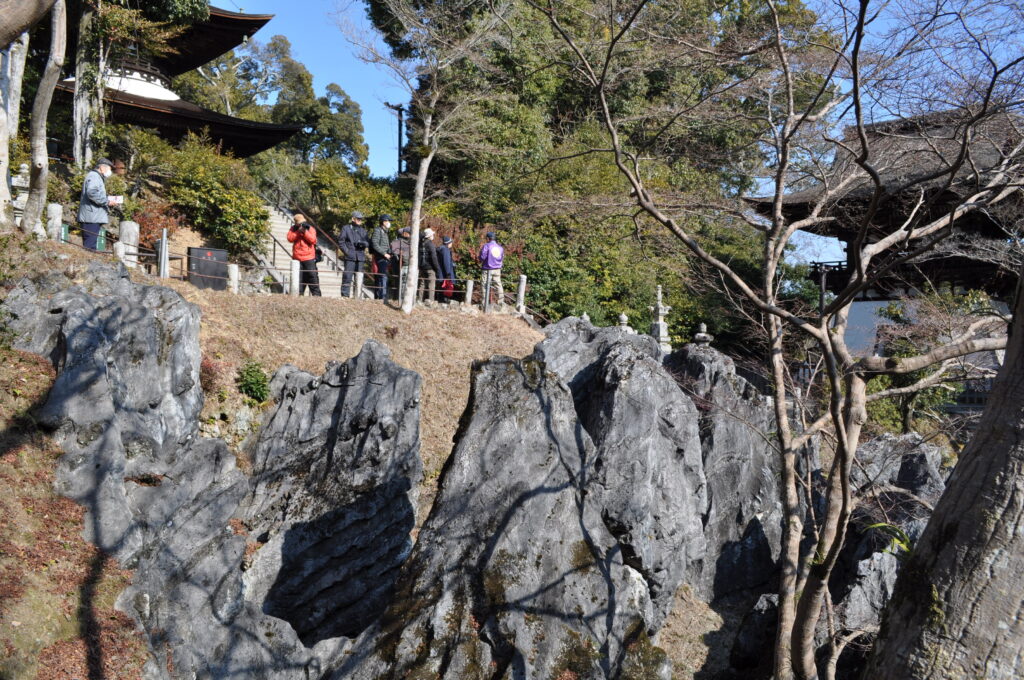 「力強硅灰石」勝見 兵治