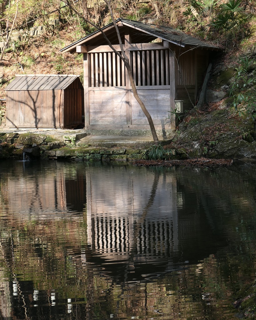 「寒の陽射し」今村高