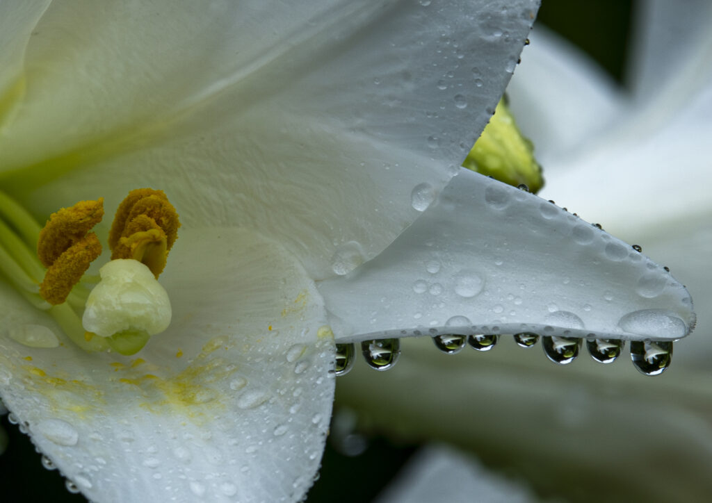 「郷愁」藤井　勝