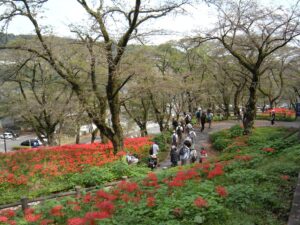 園路を歩いていくと