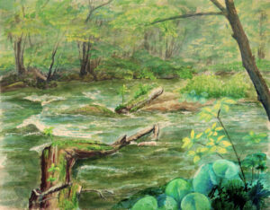 奥入瀬の春ー急流