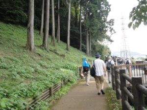 この園路は車椅子でも移動できます