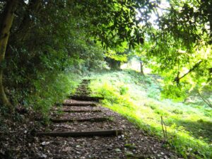 園路を離れ山道をショートカットです