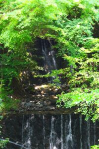 涼しさを感じる滝です