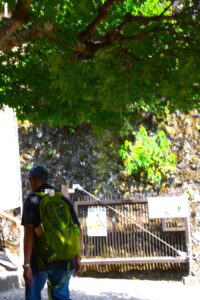 この階段を上れば