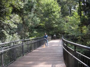 園路に戻ると清掃奉仕の会員が☻