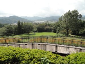 コスモスと芝生の見える展望広場です