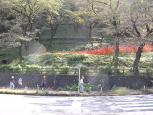 園路から一般道に戻り