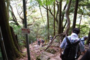 岩場の道が続きます