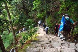 まだまだ続きます