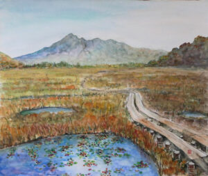 尾瀬 燧山と湿原ー1