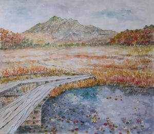 尾瀬 燧山と湿原ー2