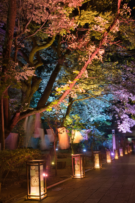 江の島灯籠祭りー2