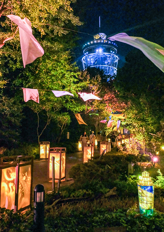 夏の江の島夜景ー1