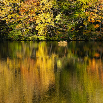 秋色の磐梯高原ー２