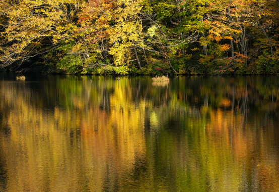 秋色の磐梯高原ー２