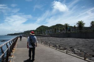 陽射しは強いですが