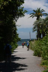 再び海岸沿いをウォーキング