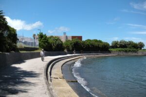 木の板が張られた散歩道です