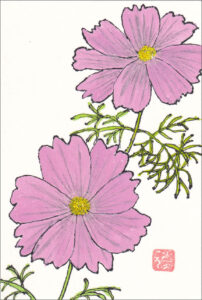 コスモス