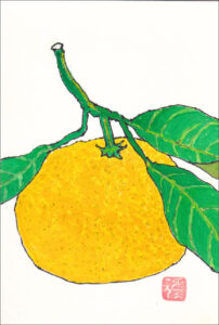 根府川のみかん