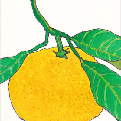 根府川のみかん