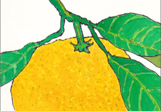 根府川のみかん