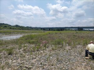 鬼怒川柳田大橋河川沿い