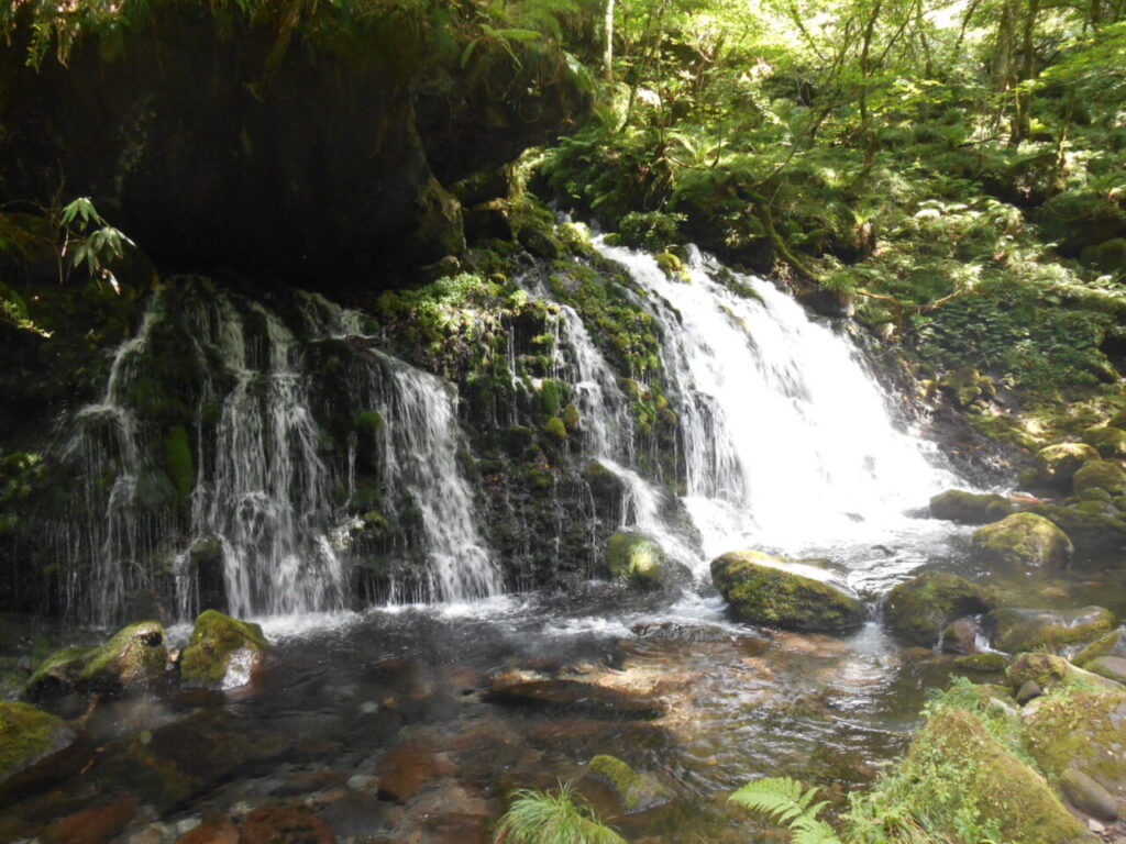 鳥海山麓白糸の滝
