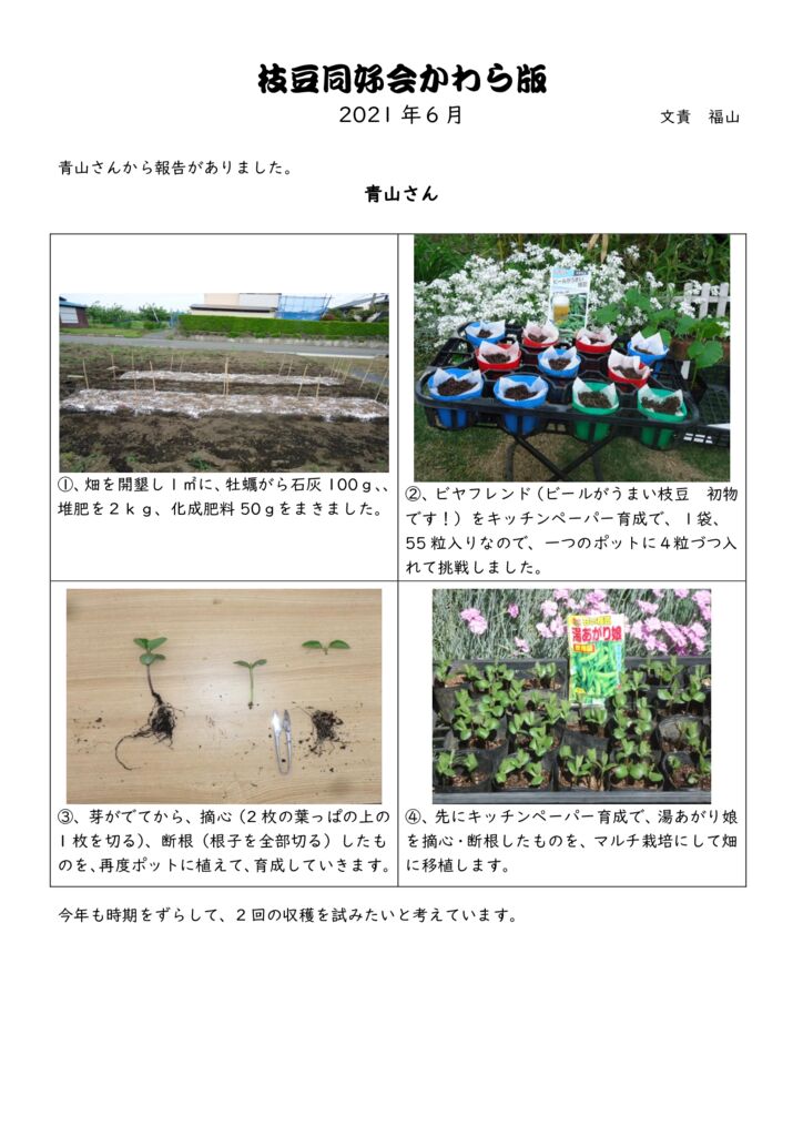 かわら版6月のサムネイル