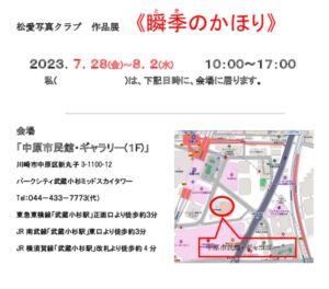 松愛写真クラブ・作品展案内DMA面のサムネイル